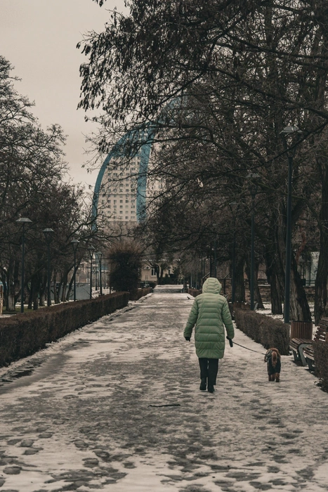 Источник: Дмитрий Доценков