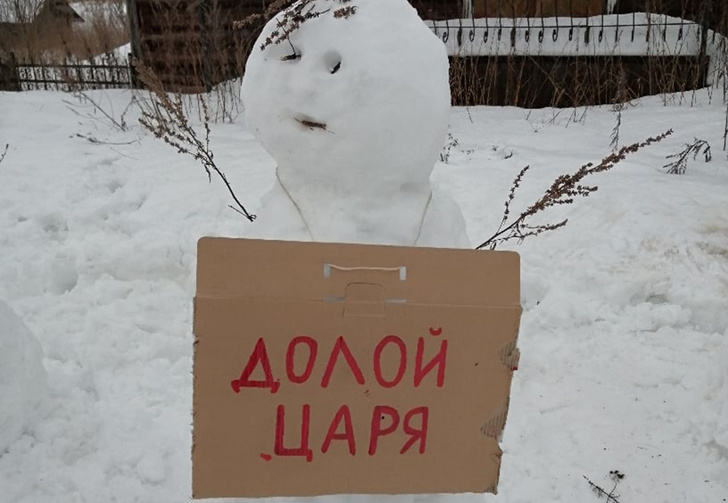 В Архангельской области полиция разогнала несанкционированный митинг снеговиков (много фото)