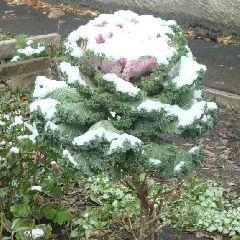 В отдельных районах опустится до -13 градусов | Источник: www.city-n.ru