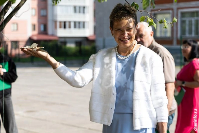 Источник: st.cherinfo.ru