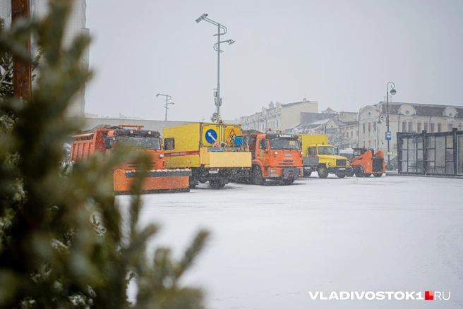 Источник: Елена Буйвол / VLADIVOSTOK1.RU