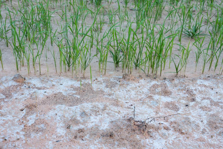 Эрозия почв: как разрушается и куда исчезает плодородный слой земли
