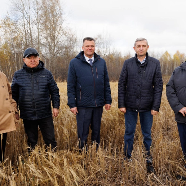 Компания обеспечивает зерном несколько регионов России | Источник: УК «АРСИБ АГРО»
