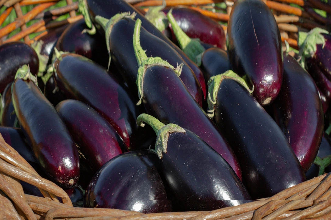 5 способов сохранить баклажаны на зиму: вкусно, полезно и без консервации | Источник: Shutterstock/Fotodom.ru