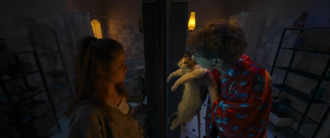 Источник: кадр из фильма «Сводишь с ума» (16+), реж. Дарья Лебедева, студия All Media и Forza Film, 2025 год