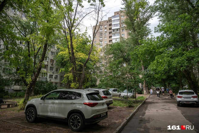 Источник: Евгений Вдовин / 161.RU