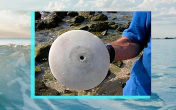 В Средиземном море нашли 2500-летний мраморный диск — как вы думаете, зачем он был нужен на корабле?