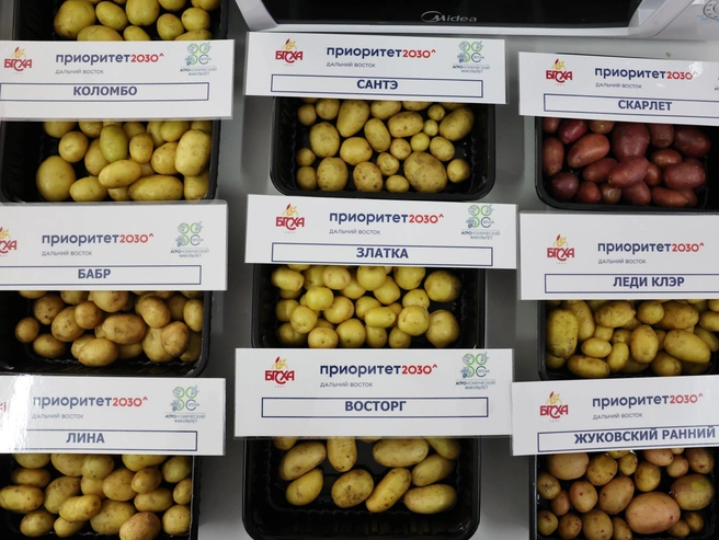 Источник: Бурятская ГСХА