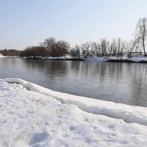 Найдено тело 13-летней Алины Арслановой, которая пропала в Звенигороде с друзьями Богданом и Ваней