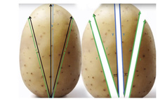 Как резать картошку, чтобы получилась идеальная хрустящая корочка (математический метод)