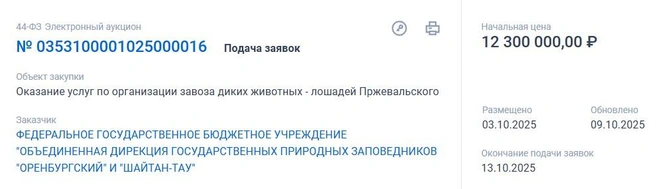 Тендер появился 3 октября | Источник: Госзакупки