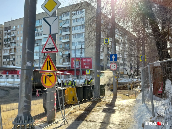Обходить многочисленные ограждения сложно, зато посмотрите, сколько ярких цветов сразу | Источник: Сергей Гендин / 164.RU