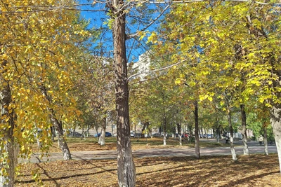 Погода в Кургане на выходные: от +14 до -2