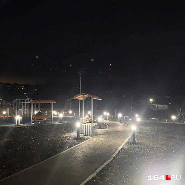 Источник: Сергей Гендин / 164.RU