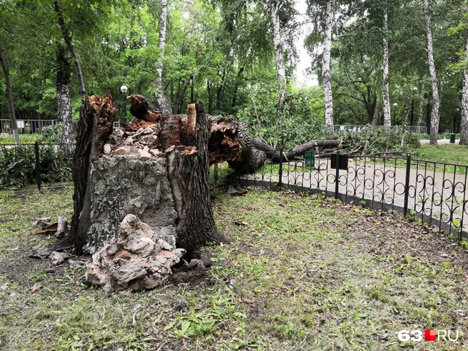 Источник: Евгений Зиновьев