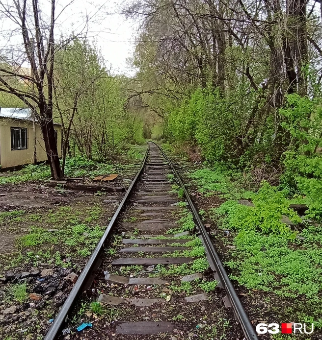 У самурая нет цели&nbsp;— есть только путь | Источник: Евгений Зиновьев / 63.RU