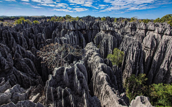 Непролазное наследие: только взгляните на самую удивительную природную достопримечательность Мадагаскара