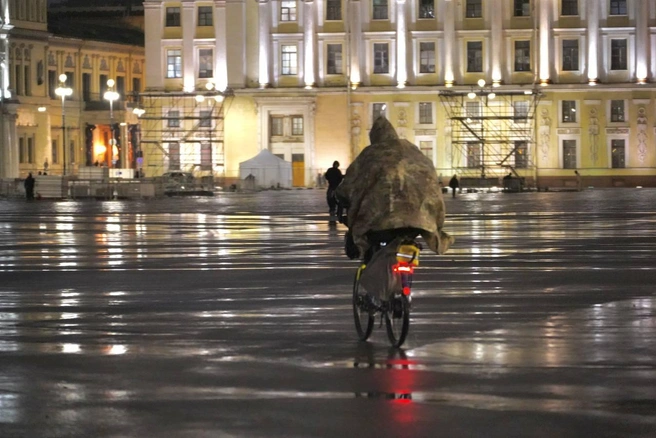 Нешуточный ветер продолжает бушевать в Петербурге. Посмотрите, как с ним справляются горожане | Источник: Павел Даиси / FONTANKA.RU