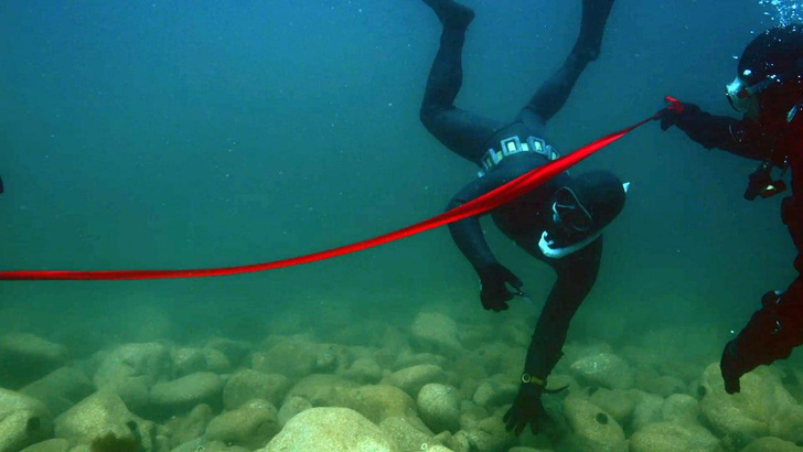Можно встретить рыбу фугу: посмотрите, кого увидят туристы на первой в России подводной экотропе
