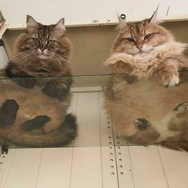 Источник: соцсети