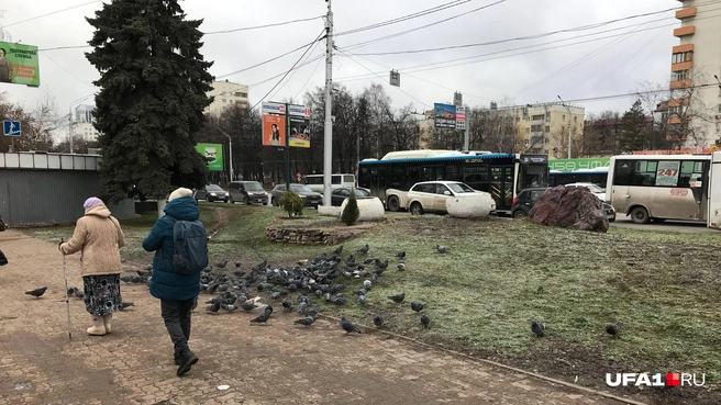 Улица 50 лет СССР | Источник: Андрей Сивец / UFA1.RU