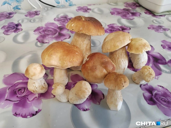 Источник: очевидец