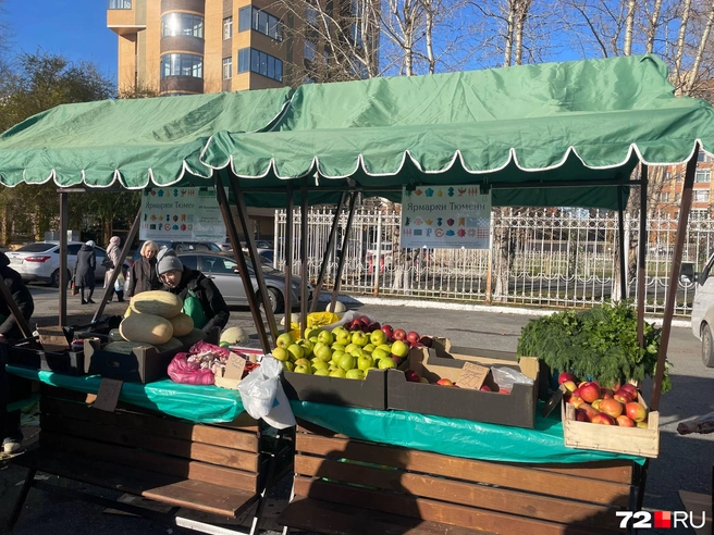 На ярмарке продавали яблоки, чеснок, дыню, клубнику | Источник: Радик Енчу / 72.RU