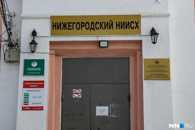 Источник: Наталья Бурухина / NN.RU