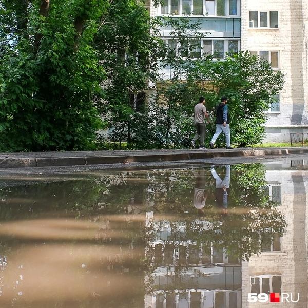 Источник: Василина Любимова / 59.RU