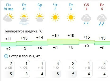 До +19 градусов в четверг и пятницу в Кургане | Источник: gismeteo.ru