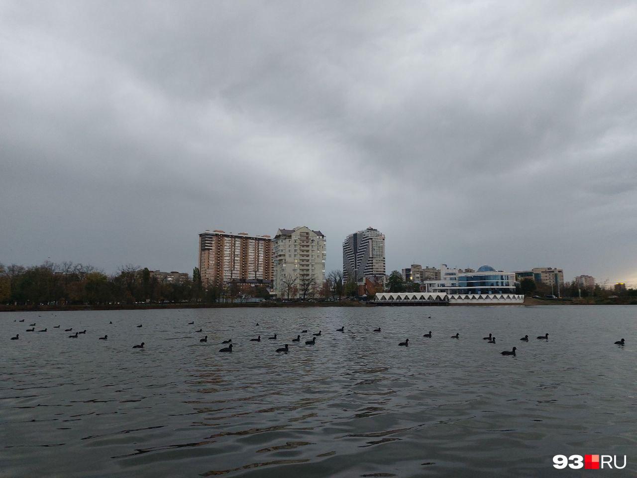 Власти Краснодара пообещали Карасунам статус ООПТ. Что это значит?