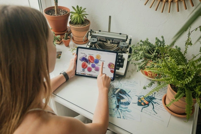 Источник: Ксения Зимина