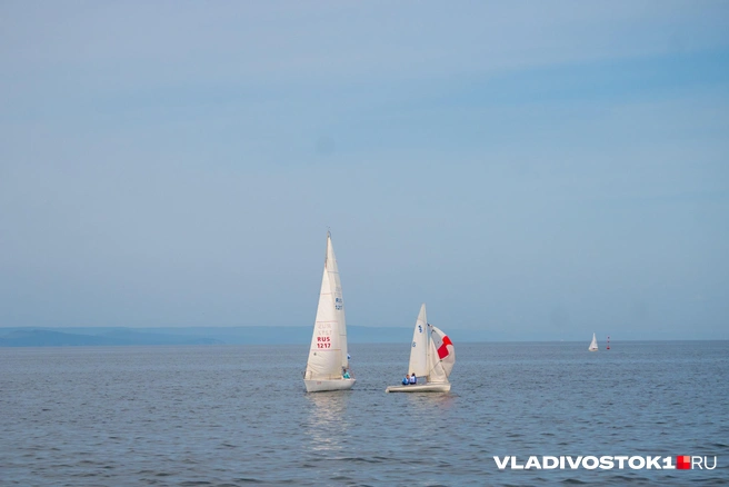 Источник: Елена Буйвол / VLADIVOSTOK1.RU