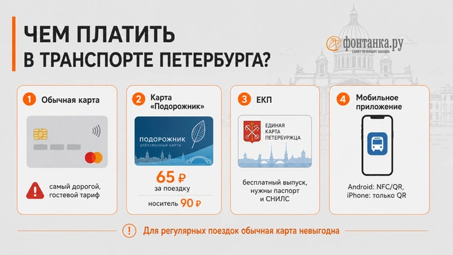 Источник: Инфографика «Фонтанка.ру»