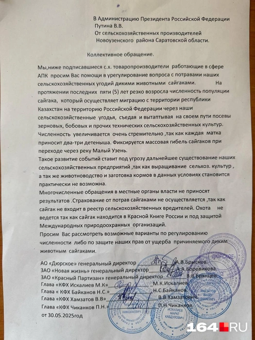 Аграрии Саратовской области просят помочь в борьбе с нашествием антилоп | Источник: предоставлено фермерами Новоузенского района
