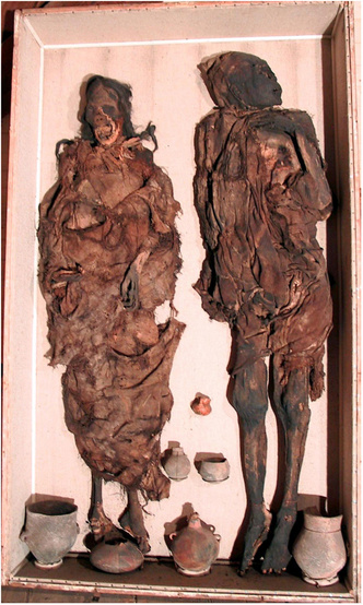 Подстерегли и вонзили нож в спину: древние индейские мумии оказались жертвами преступлений