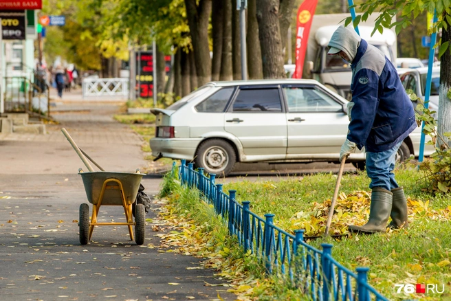 Сейчас начать работать можно только в 14 | Источник: Александра Мамонтова / 76.RU