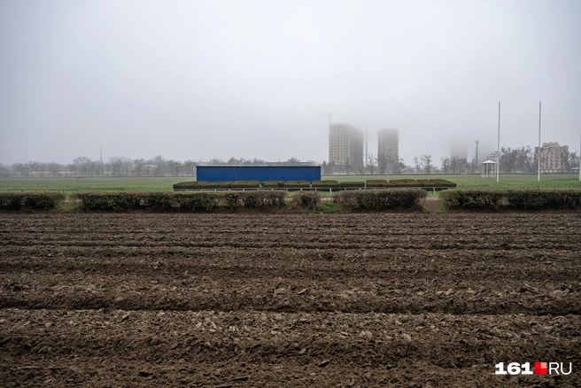 Источник: Евгений Вдовин / 161.RU