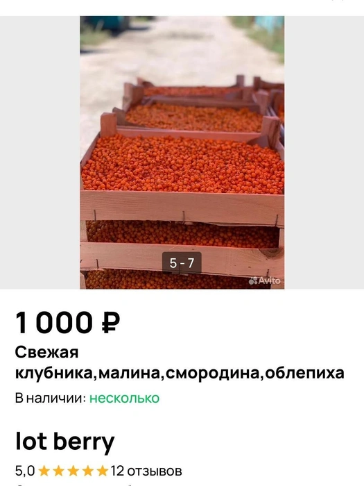В Сургуте есть две точки, где продают облепиху | Источник: Avito.ru