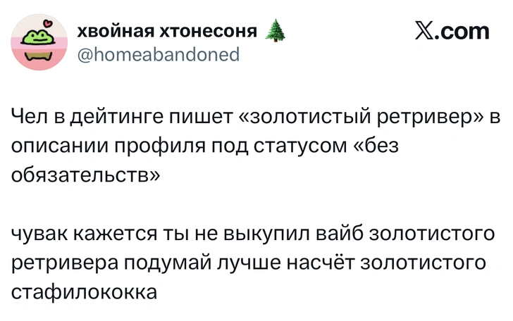 Источник: X (Twitter)