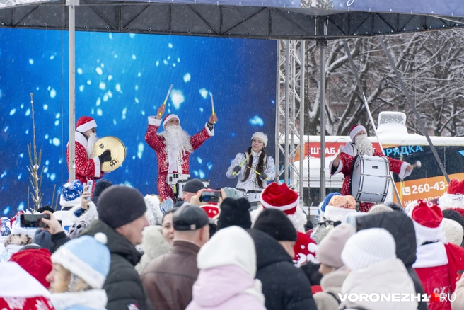 Источник: Дмитрий Волгин / Voronezh1.ru