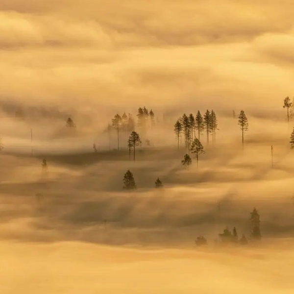 Победитель в номинации «Пейзаж» | Источник: Hanneke Van Camp / GDT Nature Photographer of the Year 2025