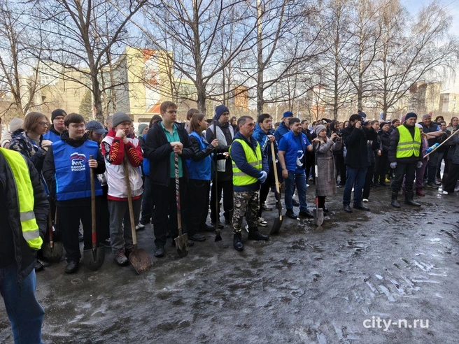 Источник: www.city-n.ru
