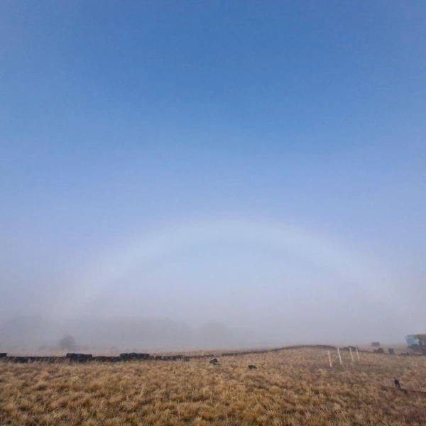 Туманная радуга | Источник: https://t.me/shkabel