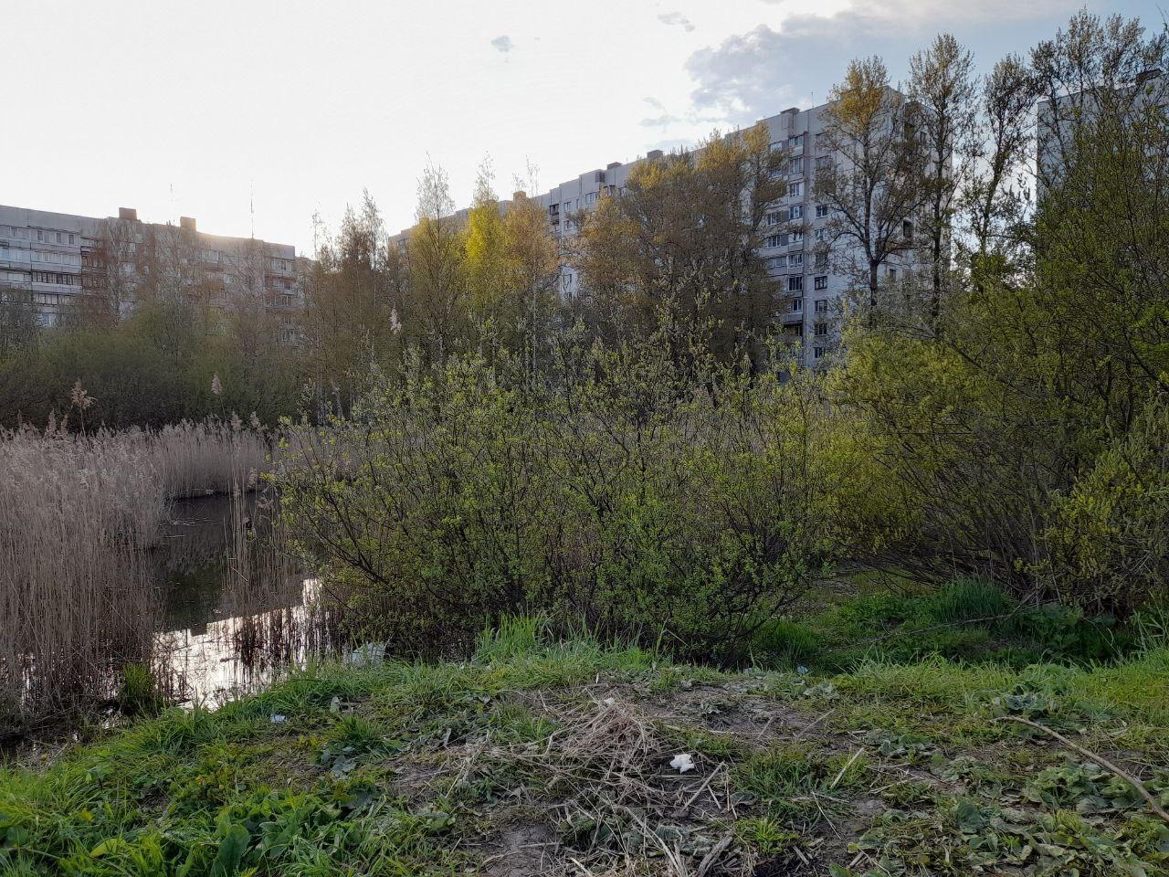 У пруда «Лунный серп» обустроят настил и скамейки