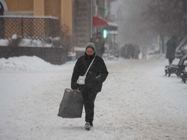 Горожане вышли на прогулки, несмотря на метель | Источник: Андрей Бортко / NGS.RU