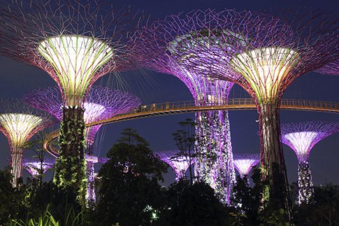 Сингапур фото | Источник: Архивы пресс-служб