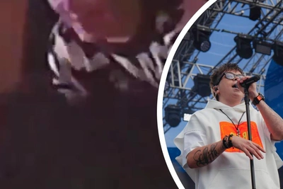 Драка фанатов Элвина Грея попала на видео