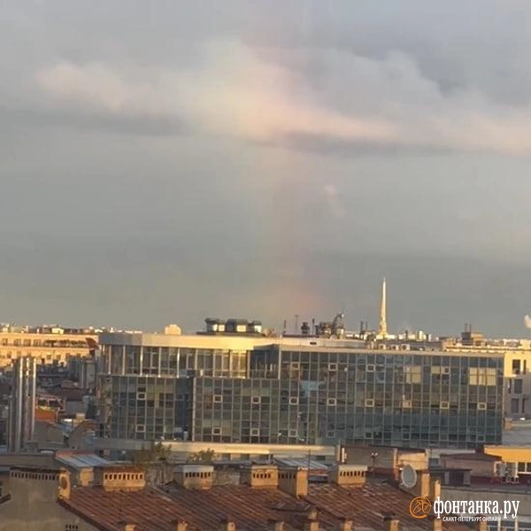 Источник: читательница «Фонтанки» Елена