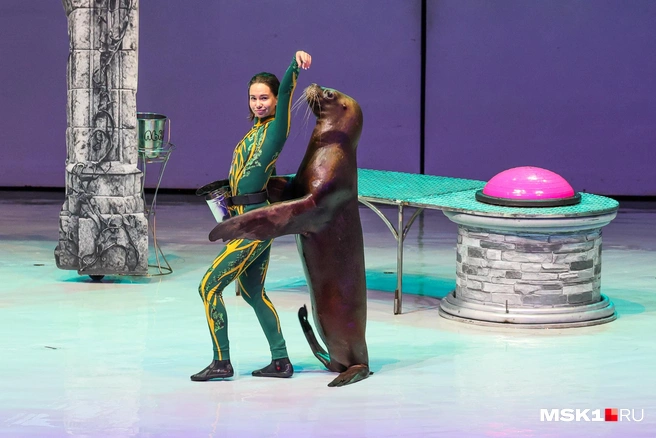 Источник: Артем Устюжанин / MSK1.RU